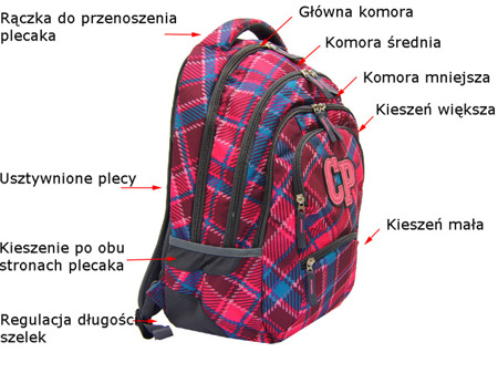School backpack Coolpack College Cranbeery check 77071CP nr 630