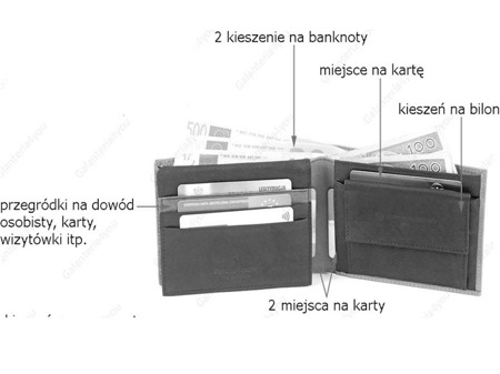 Skórzany portfel męski Sergio Tacchini brązowy K50TGDP029 TM