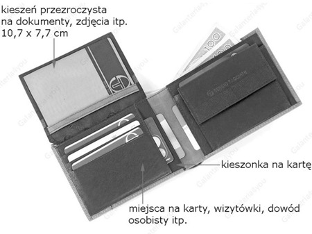 Skórzany portfel męski Sergio Tacchini brązowy K50TGDP029 TM