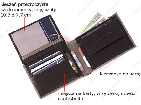 Skórzany portfel męski Sergio Tacchini szary K50TGDP029 GRI