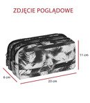 Zestaw szkolny Coolpack 2018 Springfield - plecak College i piórnik Clever