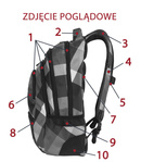 School backpack Coolpack College Springfield 82553CP nr A534