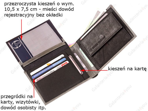 Skórzany portfel męski Sergio Tacchini szary K50TGEP029 GRI