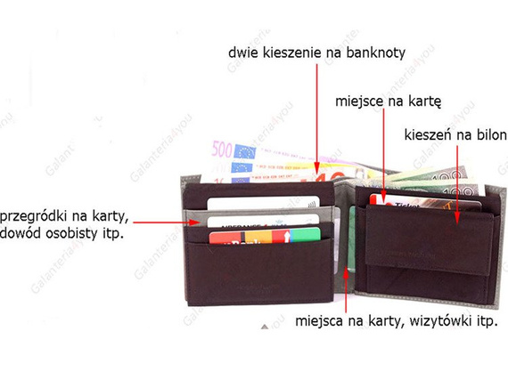 Skórzany portfel męski Sergio Tacchini szary K50TGEP029 GRI
