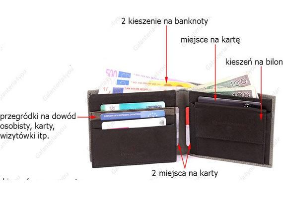 Skórzany portfel męski Sergio Tacchini szary K50TGDP029 GRI