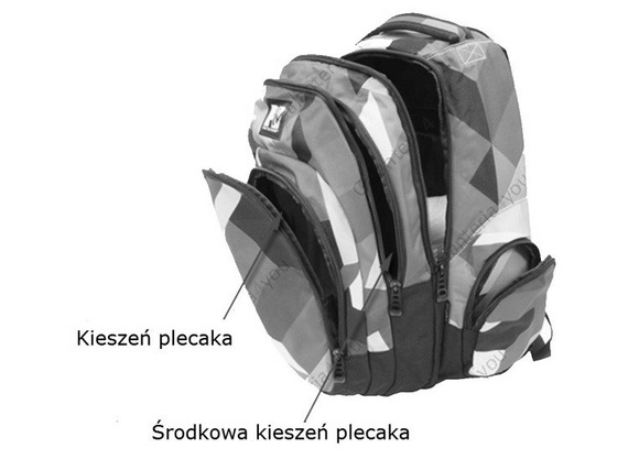 Plecak szkolny Coolpack Brit Flowers MTV 55079CP