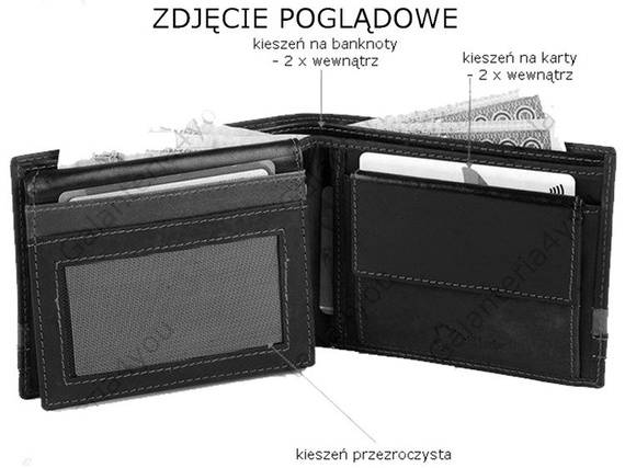 Męski portfel skórzany Dolphin 98.266.AI.00 Brązowy