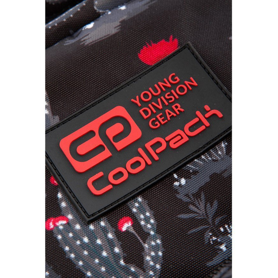 Plecak szkolny Coolpack Discovery Gringo 77325CP C38254