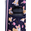 Plecak szkolny tornister CoolPack Turtle Elisabeth F015933