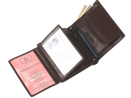 Klasyczny portfel męski skórzany Dolphin 88.2094.TI.00 Brązowy